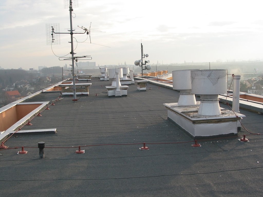 img00026.jpg