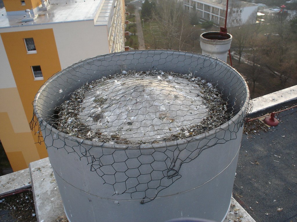img00036.jpg